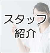 スタッフ紹介